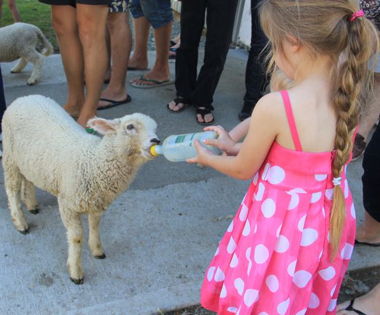 das ist in Mata Mata