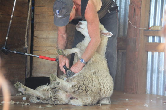 der erste Schritt zu meinen geliebten Uggboots ...hihi