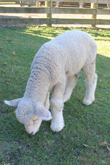 einmal einpacken bitte