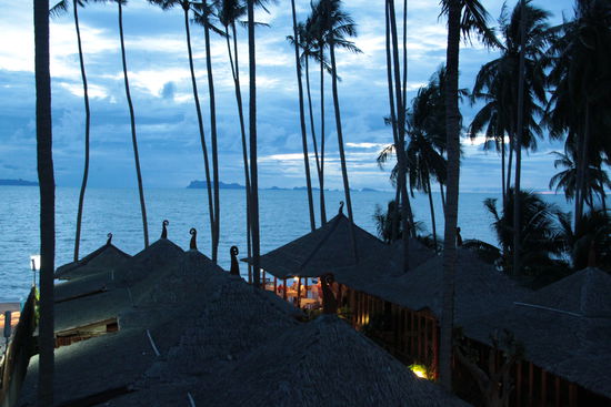 UND NOCHMAL BLICK AUS UNSEREM ZIMMER