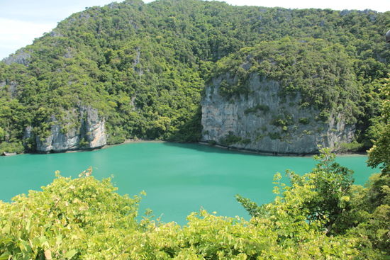 GREEN LAGOON