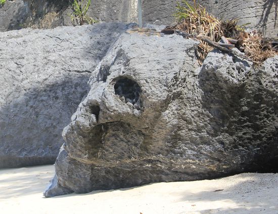 SIEHT AUS WIE EIN TOTENKOPF, ODER?