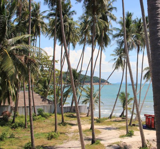 BLICK AUS UNSEREM ZIMMER