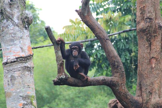 Einmal einpacken bitte