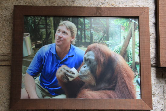 Steve Irwin  mochte diesen Zoo auch