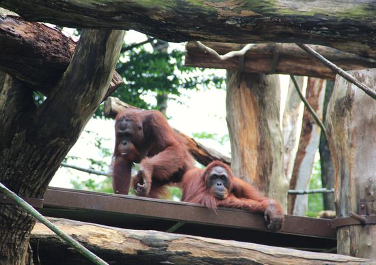 ich könnte hier1000 Bilder machen