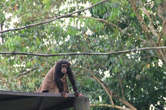 der kleine hat wie ein Verrückter mit der Decke rumgespielt