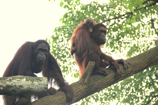 quasi über unseren Köpfen ..Tollllllllllllll
