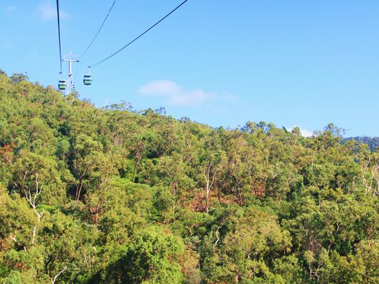 hier gings ca 1,5 Stunden in einer Gondel über den Regenwald!
an 2 Stationen wurde Halt gemacht