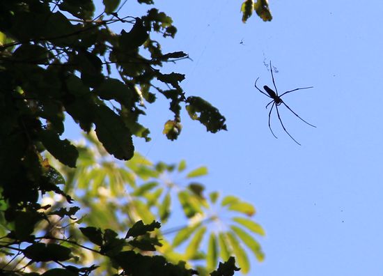 IIIIIIIIIIIIIIIIIIIIIIIIIIIHHHHHHHHHHHHHHHHHHHHHGITTTTTTTTT