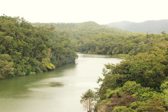 und noch ein paar Bilder vom Rainforest