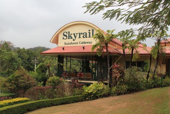 Endstation Regenwald!