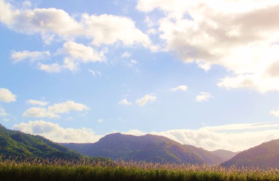 Was wäre ein Leben ohne Zucker ???
...ZIEMLICH DOOOF!!!!!!!!!!!!!!!!!!!!!!!!!!!!!