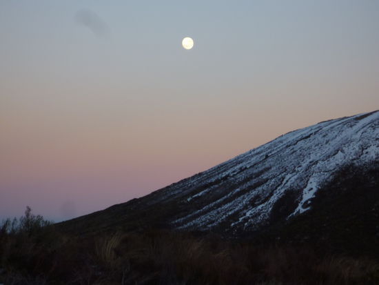 7.30am am fuß des Mt. tongariro