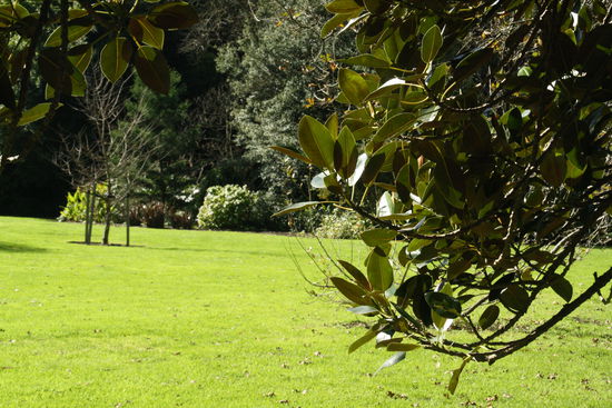 Royal Botanic Garden