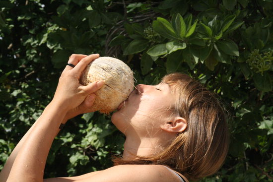 unsere erste kokosnuss alleine geknackt, schmeckt lecker