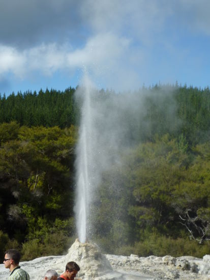 Lady Knox Geyser Wai-o-tapu thermal woderland Taupo/rotorua