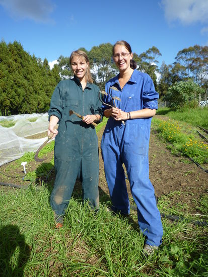 bei der gartenarbeit in kerikeri