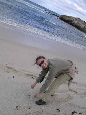"So viele Muscheln, die muss ich alle haben!!"