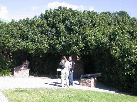Johan und Claire am Post Tree