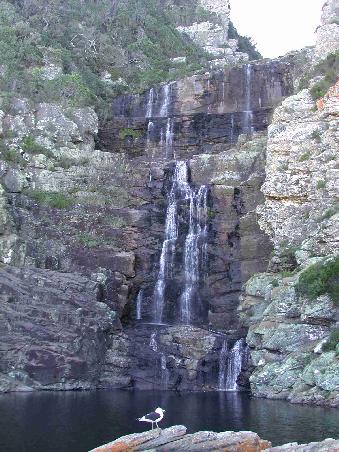 Endlich erreichen wir unser Ziel - der Wasserfall