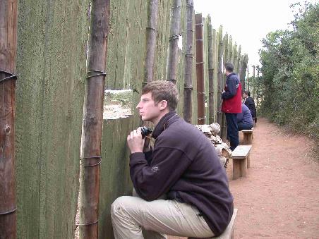 Eine Holzwand mit Guckloechern trennt das Buschwaeldchen von der Lichtung, auf der das Wasserloch liegt.