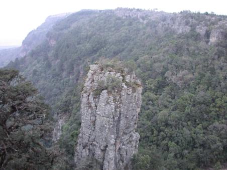 The Pinnacle