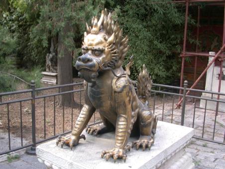 Feuerdrache