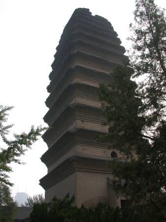 Kleine Wildgans Pagode