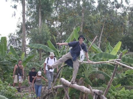 Monkey on the bridge