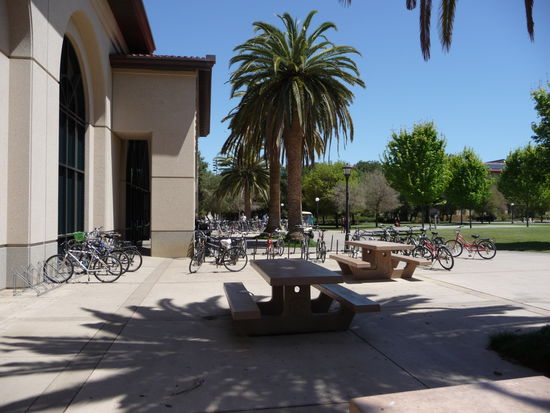 Stanford - Studieren unter Palmen