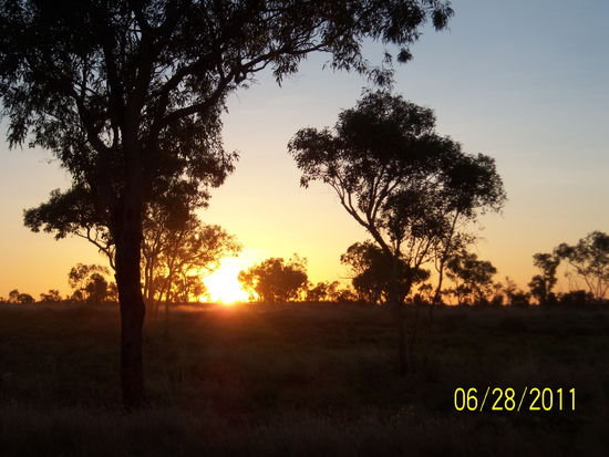 Nicht die Tierkaravane - aber ein schöner Sonnenuntergang auf der Fahrt.