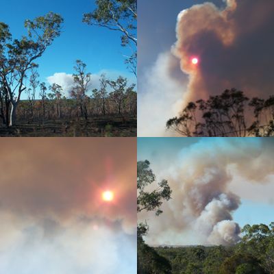 Der Waldbrand