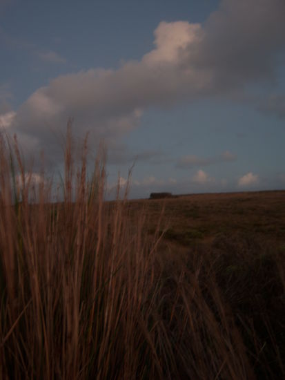 Gute Nacht Australien