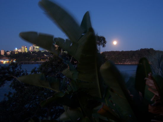 Ausblick vom Haus am Abend mit aufgehendem Vollmond