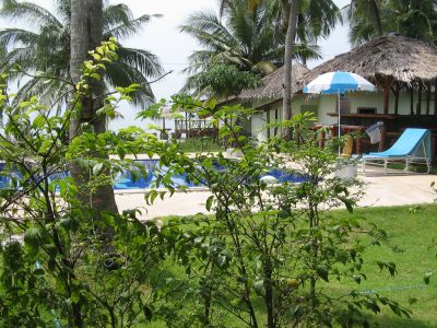 blick von unserer bar