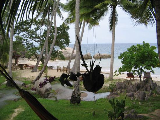 Blick von unserer Terrasse aufs meer