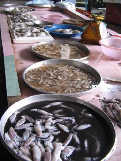 eklige fischsachen auf dem markt
