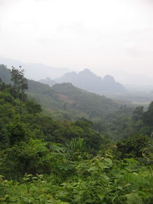 Blick ueber ein Tal des Dschungels