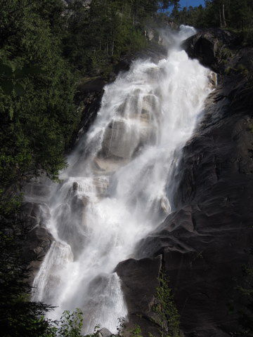 Shannon Water Fall
