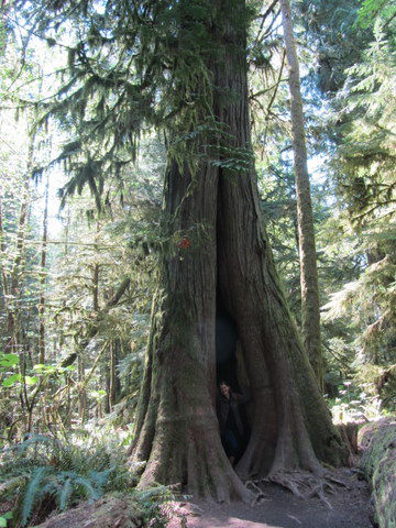 Suchbild