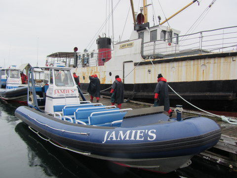 unser Zodiac