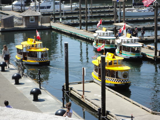 Jede Menge Wassertaxis