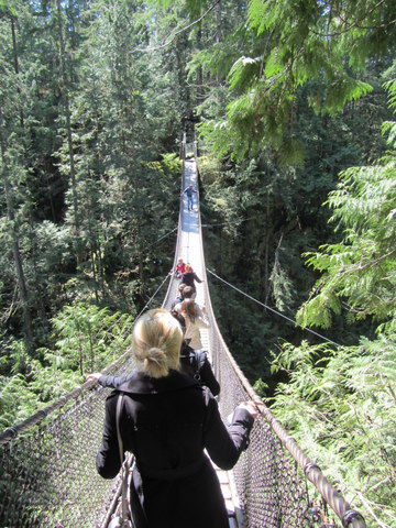 Suspension Bridge, 48m lang..