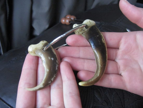 ein bisschen haben wir gelernt auf unserer Wildlife Tour.. links Schwarzbärenkrallen, rechts vom Grizzlybär