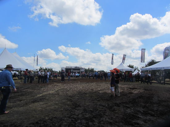 ja wo sind denn nun die Karussells??