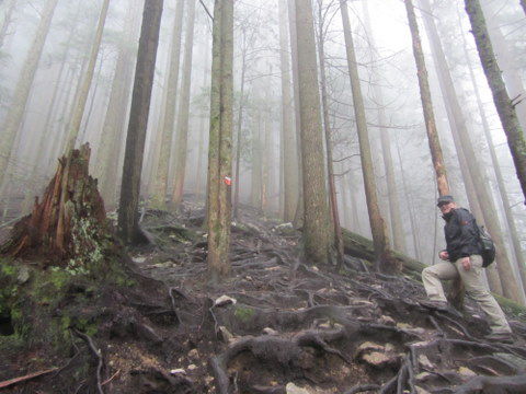 Und ganz schön gruselig mit dem ganzen Nebel. Und wir waren fast allein. Kein Wunder bei dem Wetter