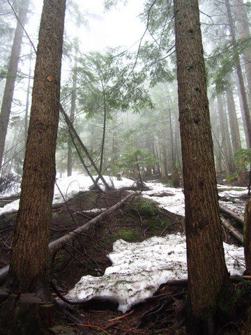 Der erste Schnee auf der Strecke..