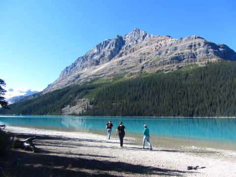 auf einem versteckten Wanderweg sind wir runter zum Peyto Lake gekommen. Der war so versteckt, dass wir keinem einzigen Touristen begegnet sind!