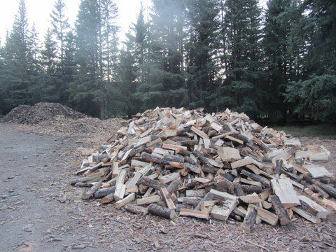 Feuerholz besorgt